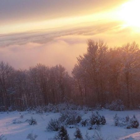 Goma Kop Apartmani Kopaonik Eksteriør billede